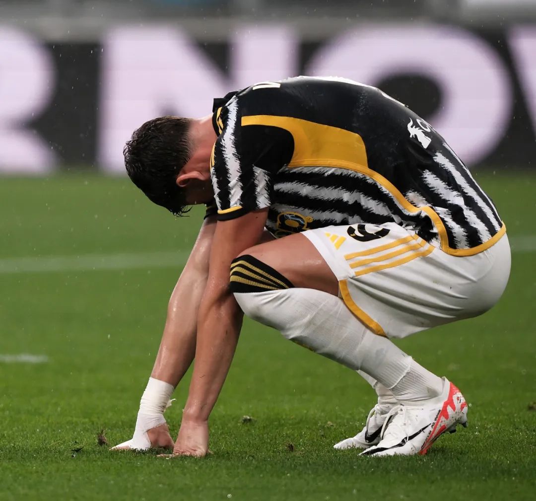 马术运动中 马术运动中